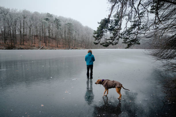 Man on a hike with a dog on a overcast winter day