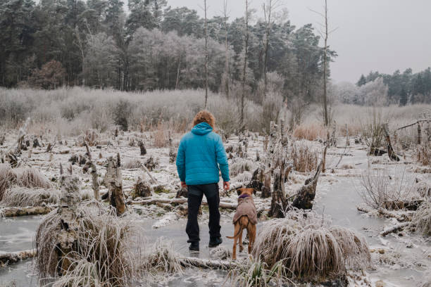 Man on a hike with a dog on a overcast winter day