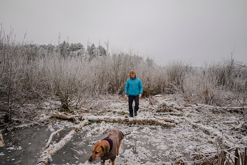 Man on a hike with a dog on a overcast winter day