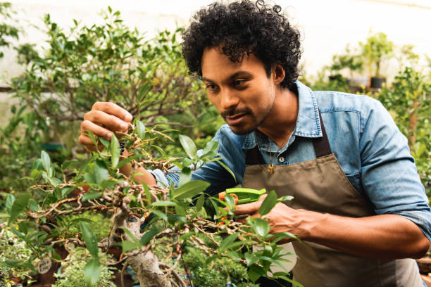 istock botanist at plant nursery 1451029065