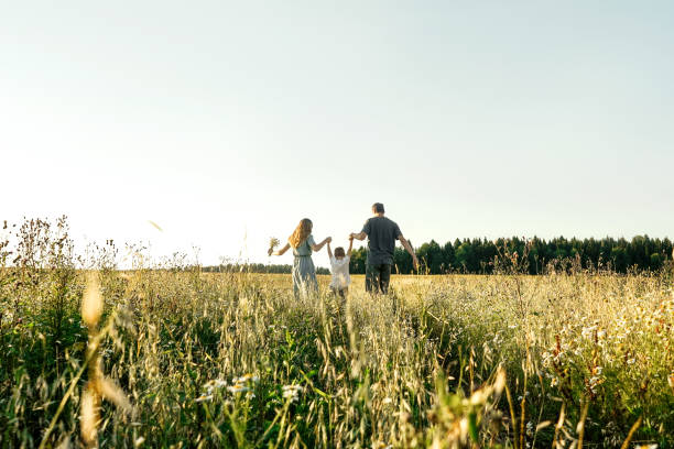 Mother, father and son having fun in field. Mother, father and son having fun in field. Rear view. distant stock pictures, royalty-free photos & images