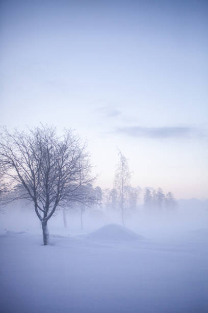 istock Winter wonderland in Finland 1451034774