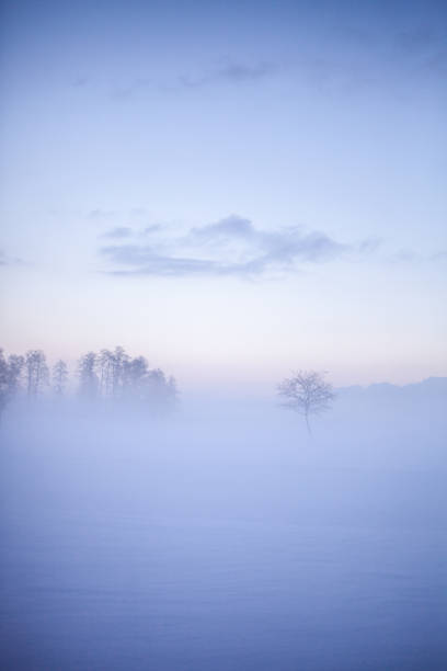 istock Winter wonderland in Finland 1451034820