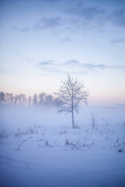 Beautiful foggy sunset in winter wonderland Finland