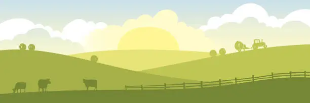Vector illustration of Abstract rural landscape with cows and tractor.