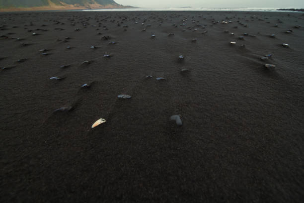 Lonely stones on the wet sand beach during the sunset