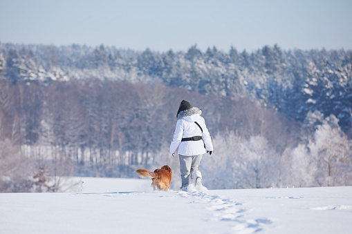 Woman with dog during frosty winter day. Pet owner walking on snowy field against forest with his loyal Nova Scotia Duck Tolling Retriever.