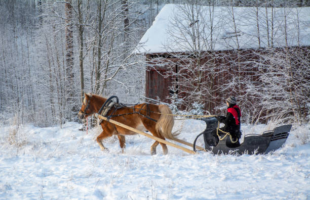 istock Woman and horse with  sleigh 1451048443