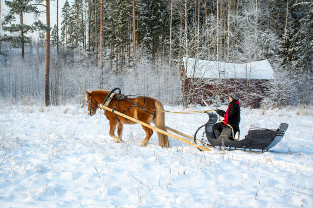 istock Woman and horse with  sleigh 1451048471