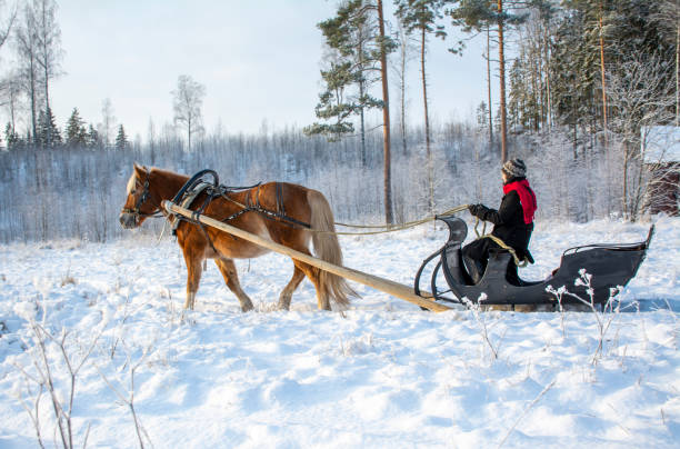 istock Woman and horse with  sleigh 1451048486