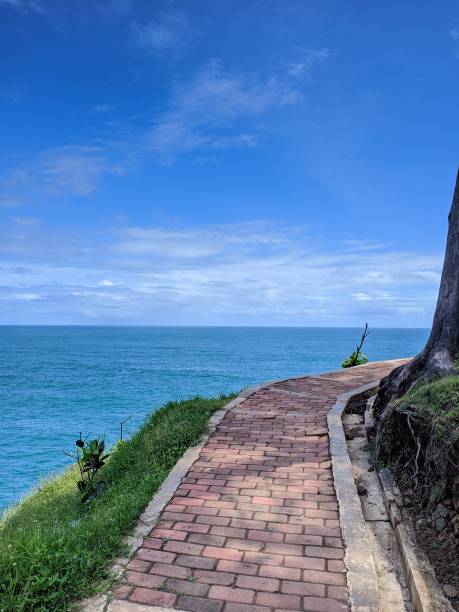 istock The road to the beach with a blue sky background 1451049084