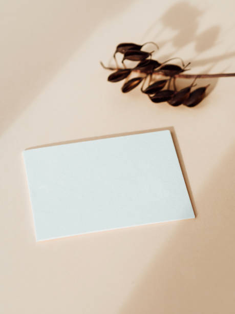 istock Two blank white cards, dry brunch on beige background 1451049489