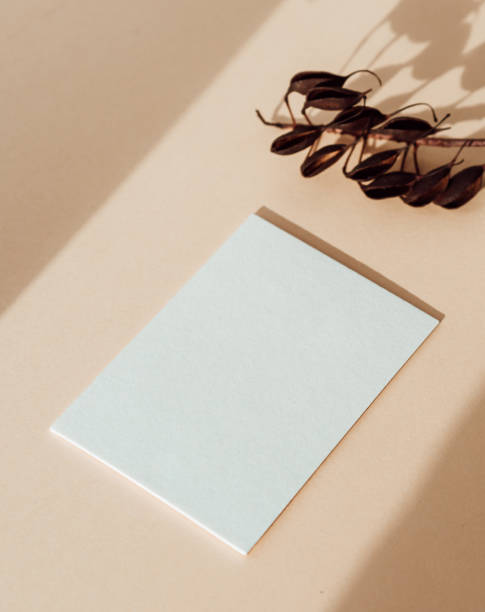 istock Two blank white cards, dry brunch on beige background 1451049538