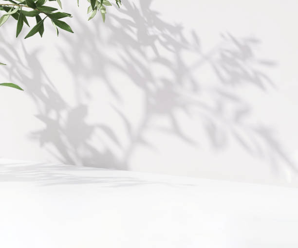 istock Empty modern, minimal counter, table top in dappled sunlight and foliage leaf shadow on white wall in background 1451059371