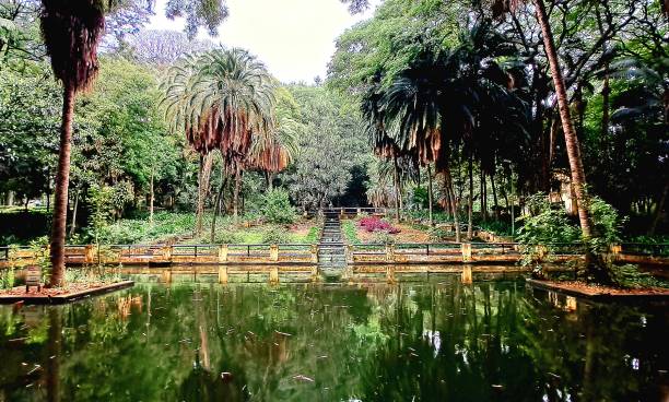 istock The lake in the park 1451061196