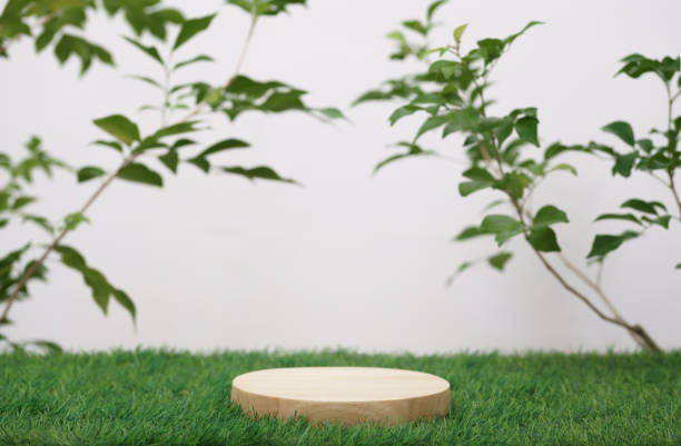 istock empty wooden podium texture on grass with tree branch fresh green leaf white space background.organic healthy natural product pedestal platform  promotion show display,spring banner concept design. 1451064733