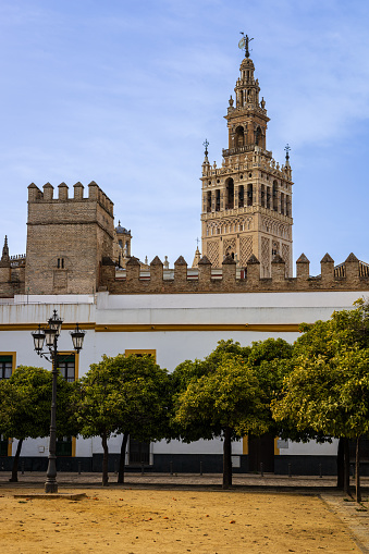 Patio de Banderas, historic plaza with Murallas del Alcazar and Cathedral view with La Giralda tower in the background. Seville, Andalusia, Spain.