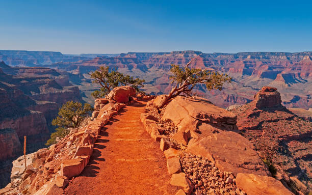 Trail into the Grand Canyon