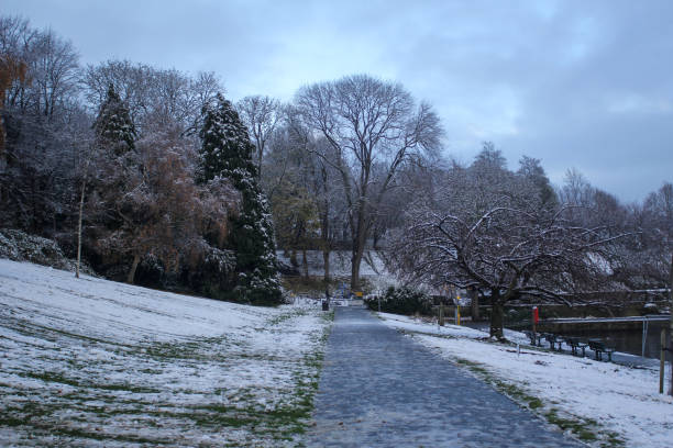 istock Winter and snow in Sheffield 1451074243
