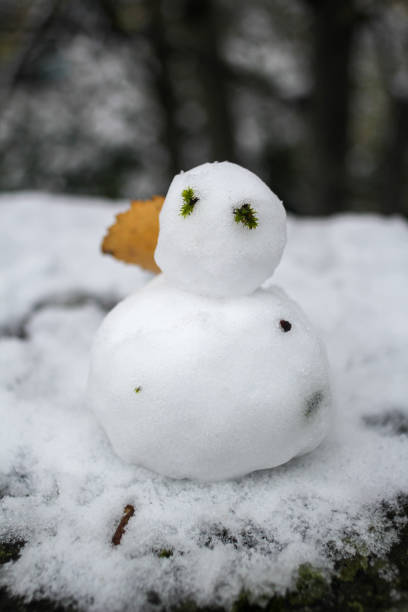 istock Winter and snow in Sheffield 1451074289