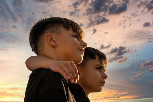From below serious boy hugging brother and looking away against cloudy sundown sky