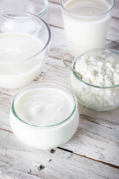istock Dairy products - milk, yoghurt and cottage cheese 1451076703