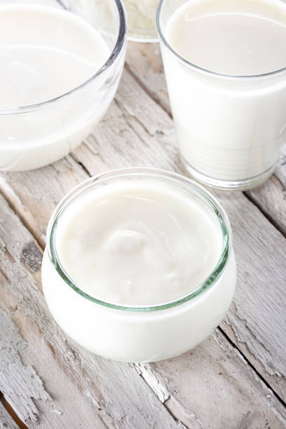 istock Dairy products - milk, yoghurt and cream 1451076819
