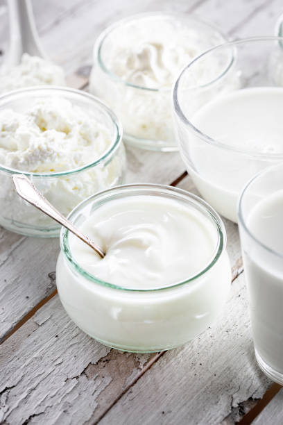 istock Dairy products - milk, yoghurt and curd cheese 1451076877