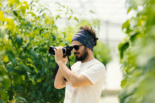 Freelance photographer taking pictures in greenhouse