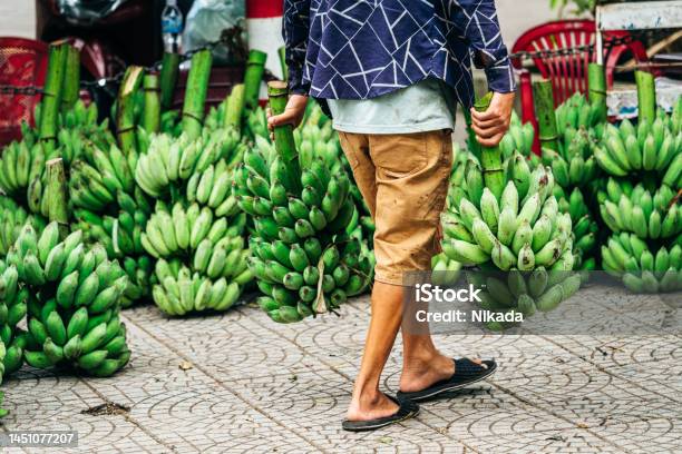 Green Bananas Cut Straight From The Tree Stock Photo - Download Image Now - Agriculture, Asia, Banana
