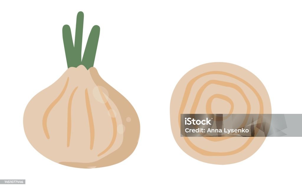 Ilustración de Cebolla Dibujada A Mano En Estilo De Dibujos Animados Elementos Alimenticios Saludables Ilustración Vectorial Aislada Sobre Fondo Blanco y más Vectores Libres de Derechos de Agricultura - iStock Ilustración de Cebolla Dibujada A Mano En Estilo De Dibujos Animados Elementos Alimenticios Saludables Ilustración Vectorial Aislada Sobre Fondo Blanco y más Vectores Libres de Derechos de Agricultura - iStock