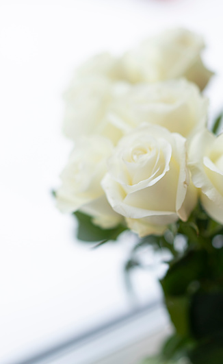 Bouquet of white roses on the windowsill. Minimalism.