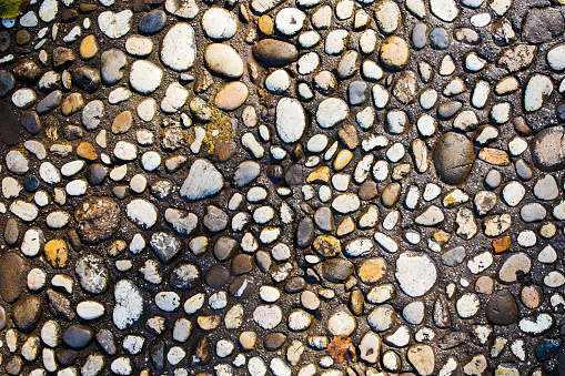Paving stone texture. Stone surface made of small round stones.