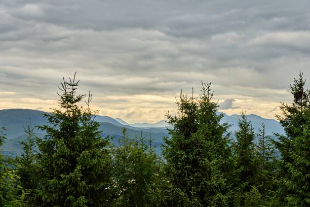 Loch Garry, Loch Garry Viewpoint West, Scotland, Highlands, Gleouraich, Invergarry