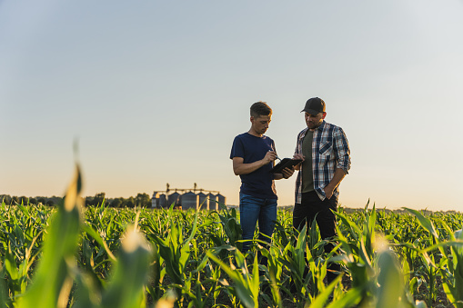 Agricultor y agrónomo usando una tableta digital mientras está parado en el campo de maíz contra el cielo photo