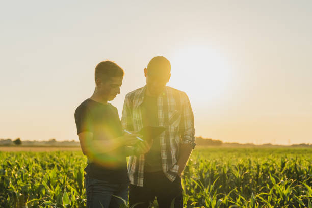 istock Male farmer and agronomist using digital tablet while standing in corn field against sky 1451084540