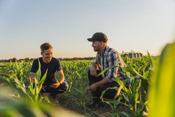 Happy male farmer and agronomist analyzing corn field against sky Smiling male farmer and agronomist with tablet computer examining young green corn plants in agricultural field Farmer stock pictures, royalty-free photos & images
