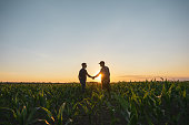 istock Male farmer and agronomist shaking hands in corn field 1451085670