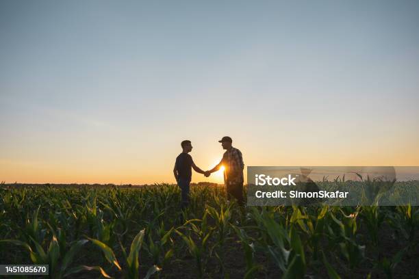 Male Farmer And Agronomist Shaking Hands In Corn Field Stock Photo - Download Image Now