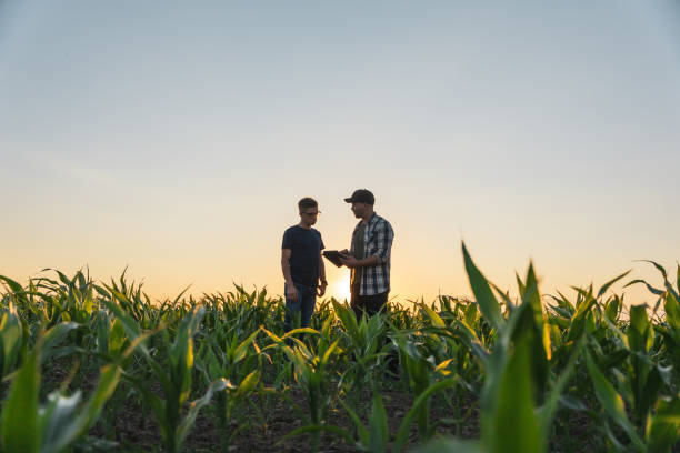 istock Male farmer and agronomist using digital tablet in corn field 1451085676