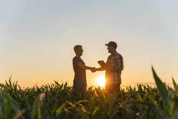 istock Male farmer and agronomist shaking hands in corn field 1451085775