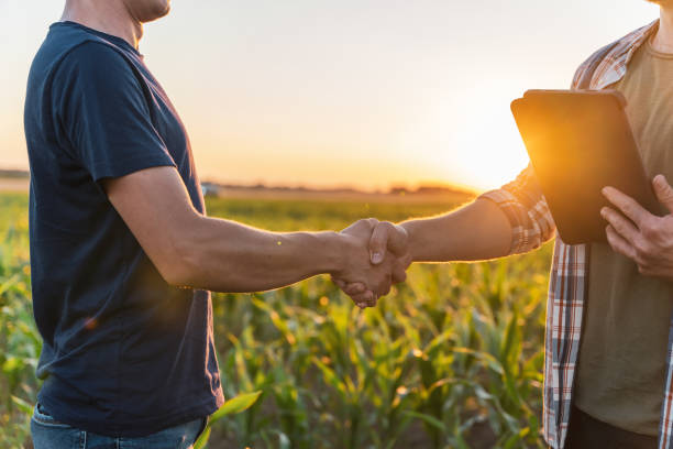 istock Male farmer and agronomist shaking hands in corn field 1451085870