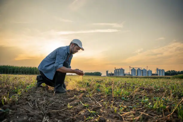 Photo of Male farmer checking soil at agricultural field against sky