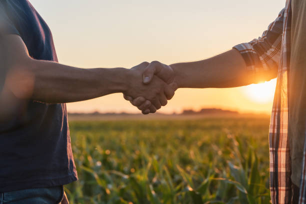 istock Male farmer and agronomist shaking hands in corn field 1451085892