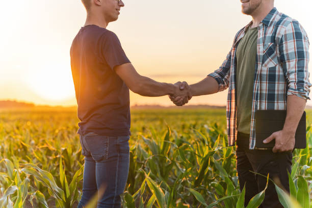 istock Male farmer and agronomist shaking hands in corn field 1451085900