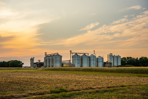 Agricultural field with silos in background at dusk against sky