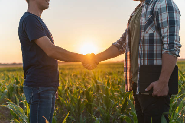 istock Male farmer and agronomist shaking hands in corn field 1451086844