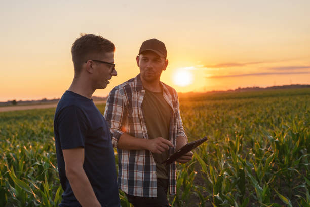 istock Male farmer and agronomist using digital tablet while standing in corn field against sky 1451086845