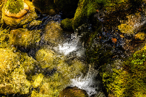 High angle view of river flowing on moss covered green rocks at rainforest during summer