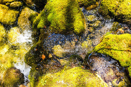 High angle view of river flowing amidst moss covered green rocks at rainforest during summer